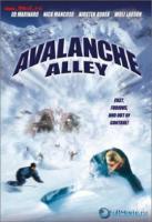   / Avalanche Alley (2001)