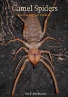   / Camel Spiders (2011)