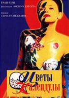   (1999)